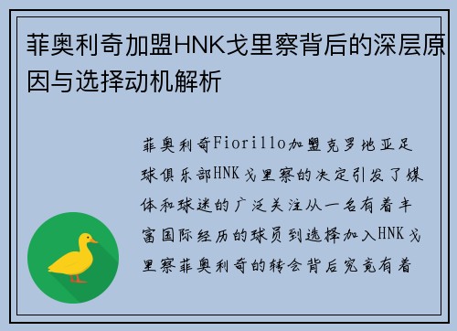 菲奥利奇加盟HNK戈里察背后的深层原因与选择动机解析